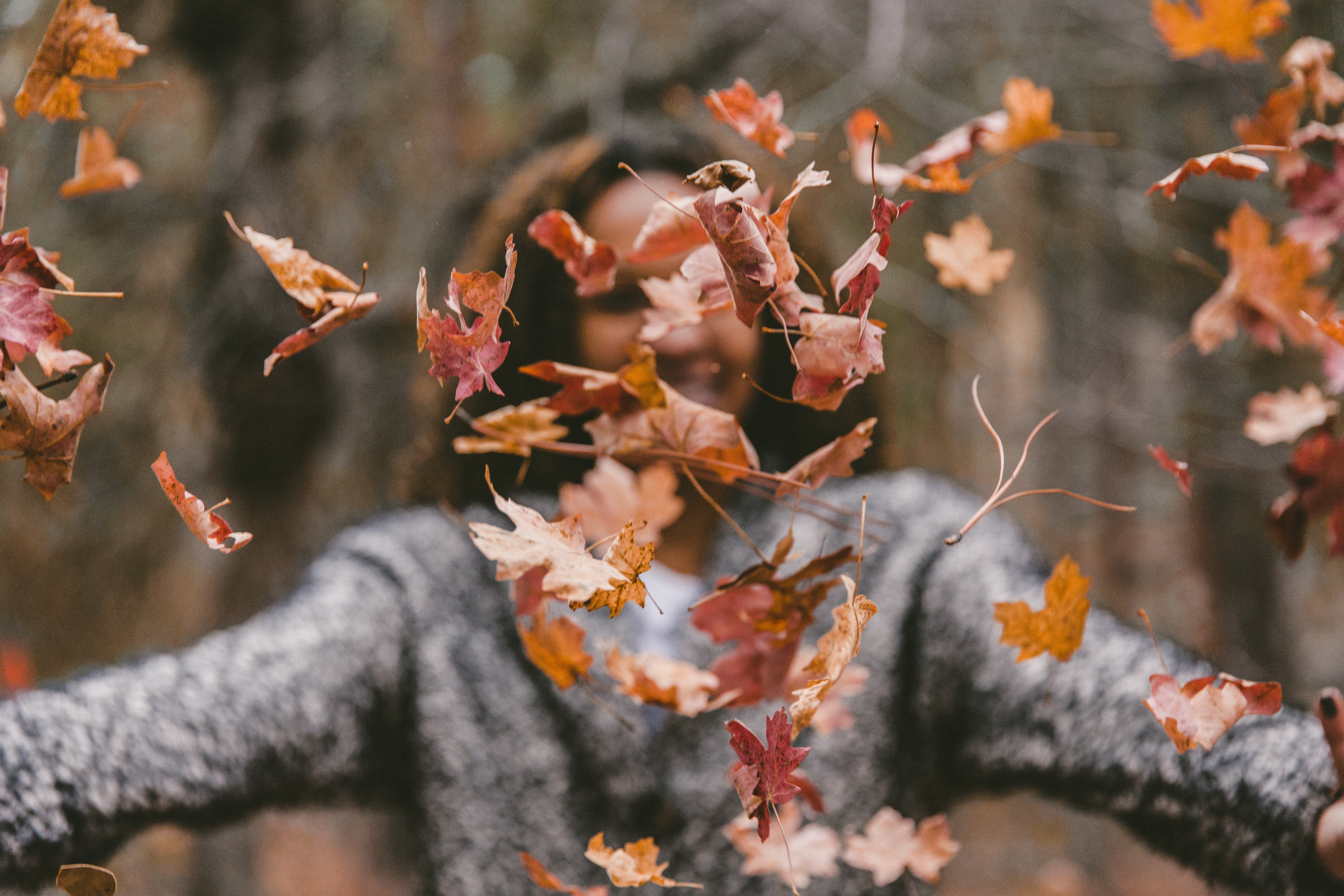 The glory of creation in autumn points to the coming glory of heaven.